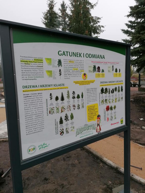 Kadzidło: Budowa arboretum na ostatniej prostej [15.11.2020] - zdjęcie #14 - eOstroleka.pl