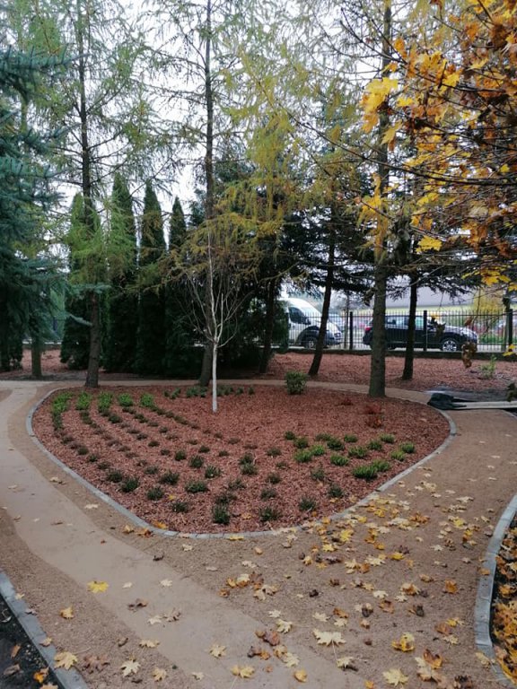 Kadzidło: Budowa arboretum na ostatniej prostej [15.11.2020] - zdjęcie #11 - eOstroleka.pl