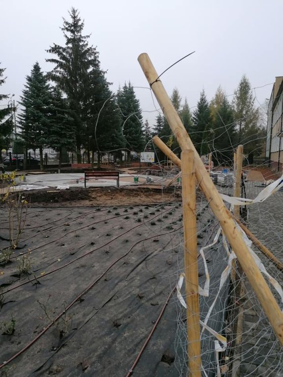 Kadzidło: Budowa arboretum na ostatniej prostej [15.11.2020] - zdjęcie #12 - eOstroleka.pl