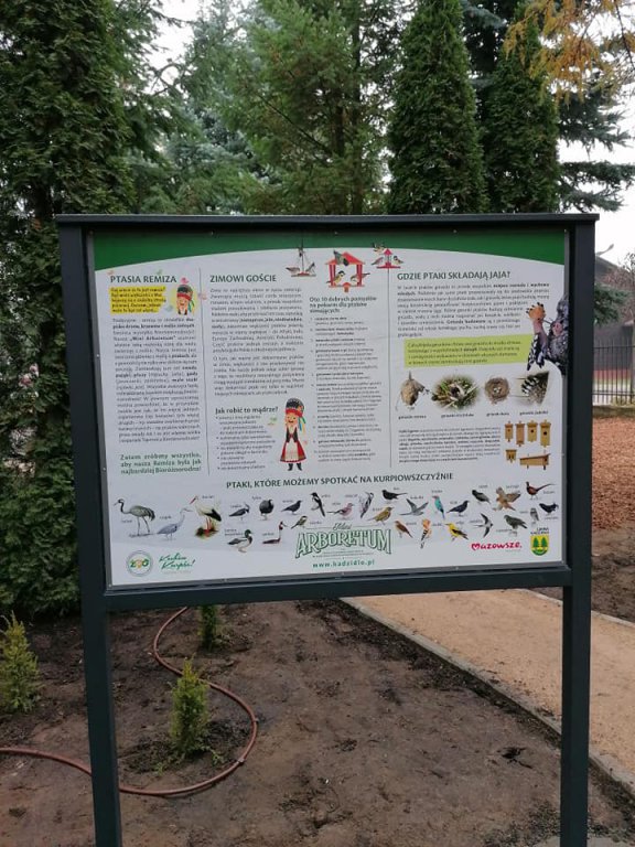 Kadzidło: Budowa arboretum na ostatniej prostej [15.11.2020] - zdjęcie #1 - eOstroleka.pl