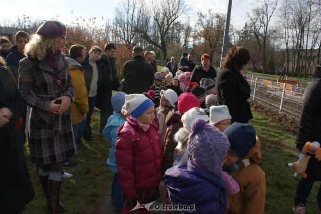 Odiór placu zabaw w parku miejskim (15.11.2010) - zdjęcie #44 - eOstroleka.pl