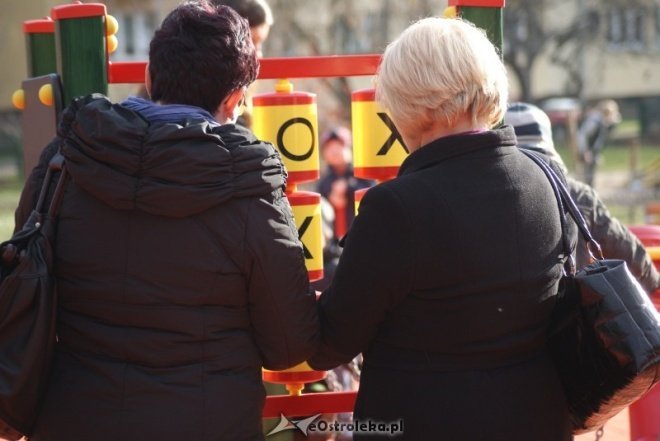 Odiór placu zabaw w parku miejskim (15.11.2010) - zdjęcie #20 - eOstroleka.pl