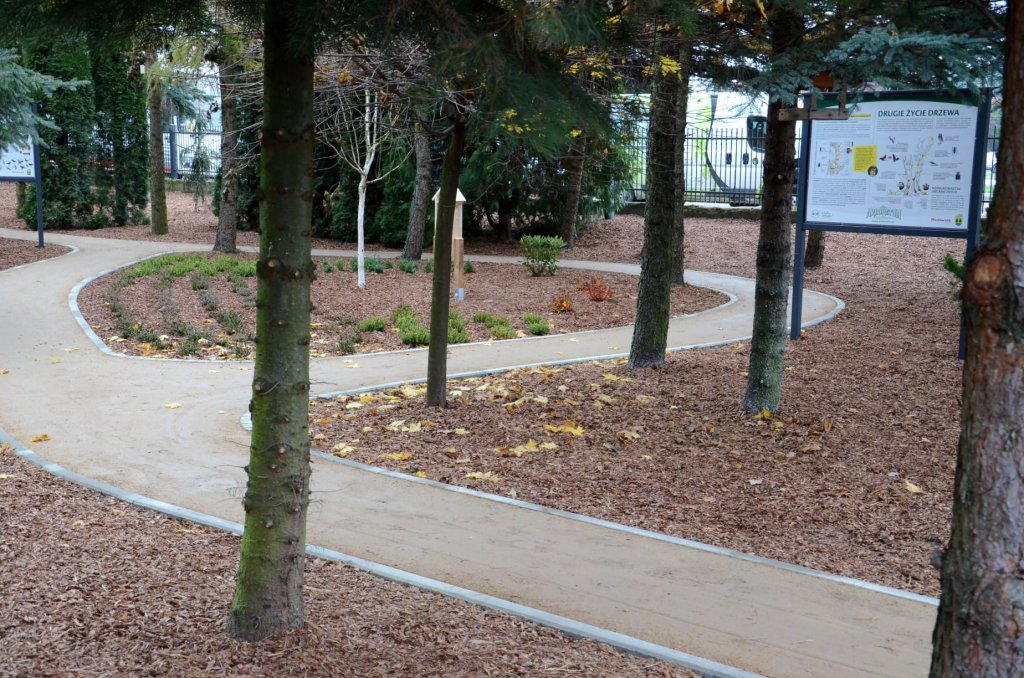Arboretum w Kadzidle gotowe [23.11.2020] - zdjęcie #40 - eOstroleka.pl