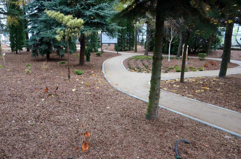 Arboretum w Kadzidle gotowe [23.11.2020] - zdjęcie #6 - eOstroleka.pl