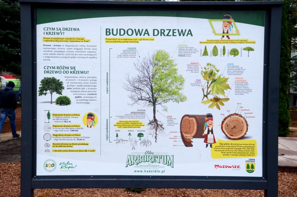 Arboretum w Kadzidle gotowe [23.11.2020] - zdjęcie #7 - eOstroleka.pl