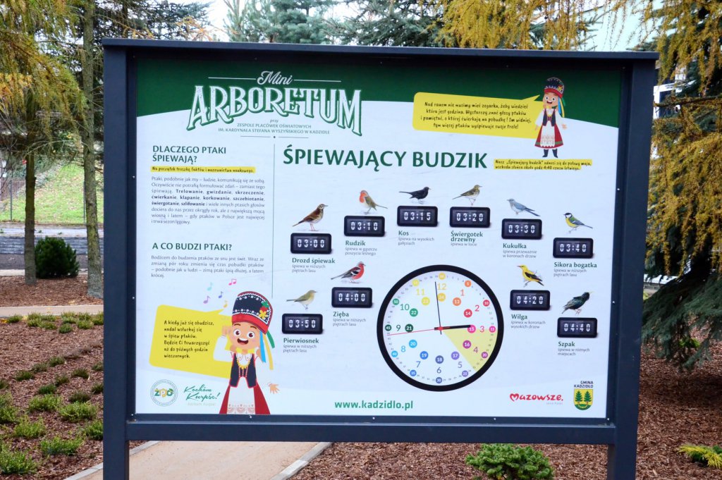 Arboretum w Kadzidle gotowe [23.11.2020] - zdjęcie #9 - eOstroleka.pl