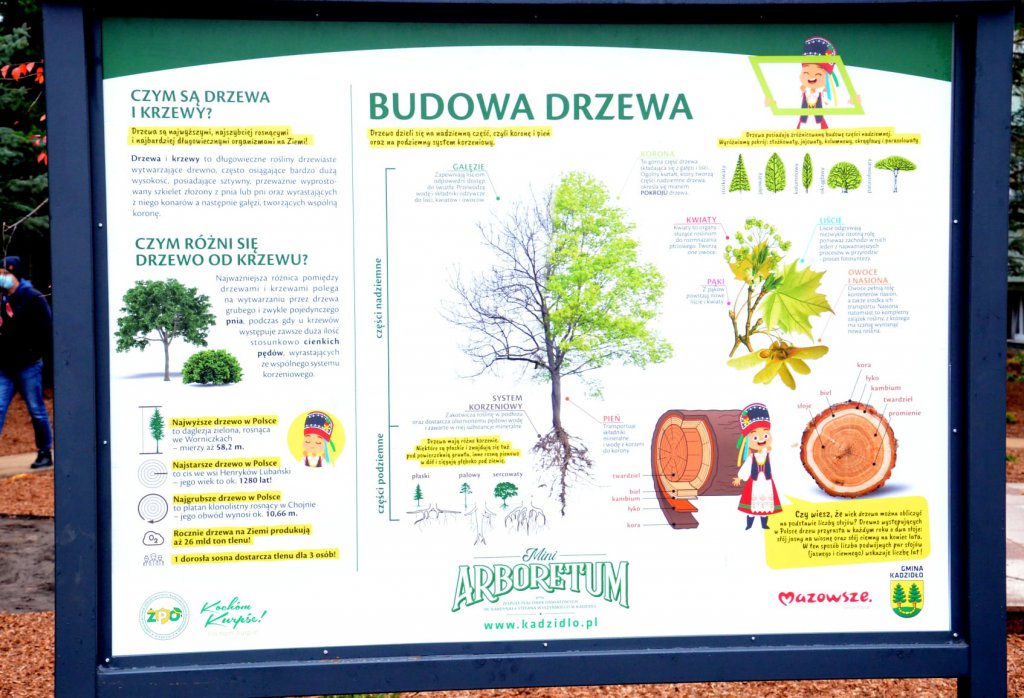 Arboretum w Kadzidle gotowe [23.11.2020] - zdjęcie #18 - eOstroleka.pl