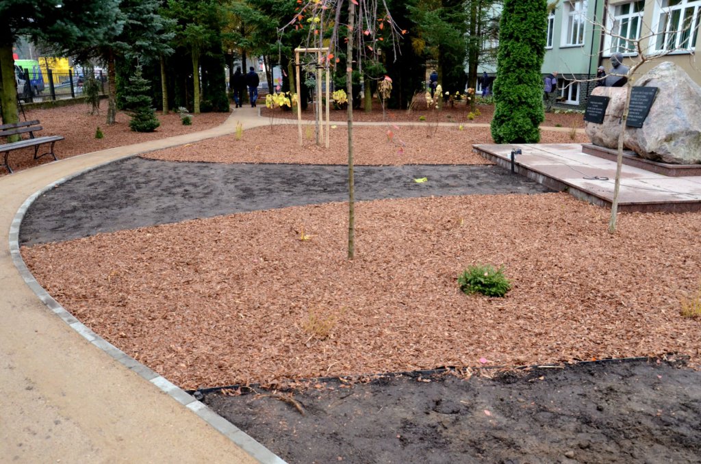 Arboretum w Kadzidle gotowe [23.11.2020] - zdjęcie #31 - eOstroleka.pl