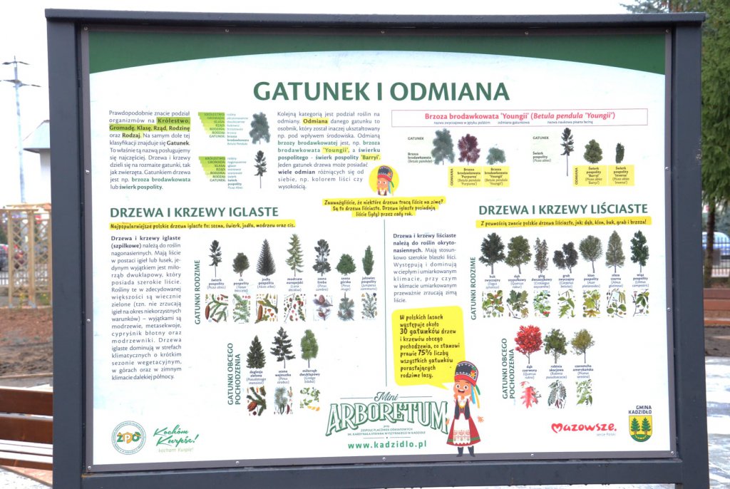 Arboretum w Kadzidle gotowe [23.11.2020] - zdjęcie #36 - eOstroleka.pl