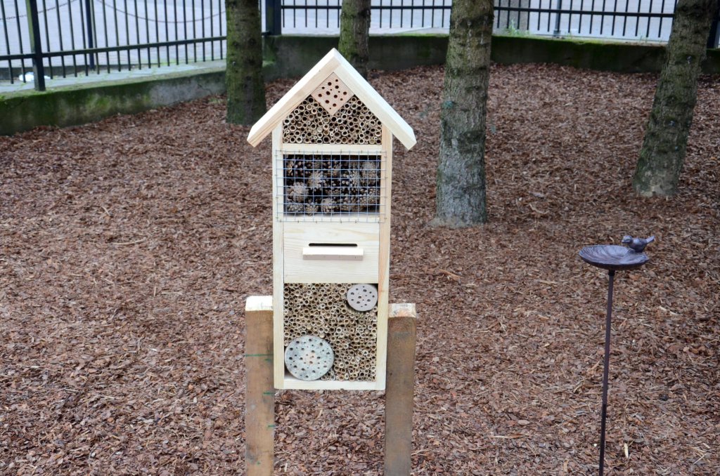 Arboretum w Kadzidle gotowe [23.11.2020] - zdjęcie #4 - eOstroleka.pl