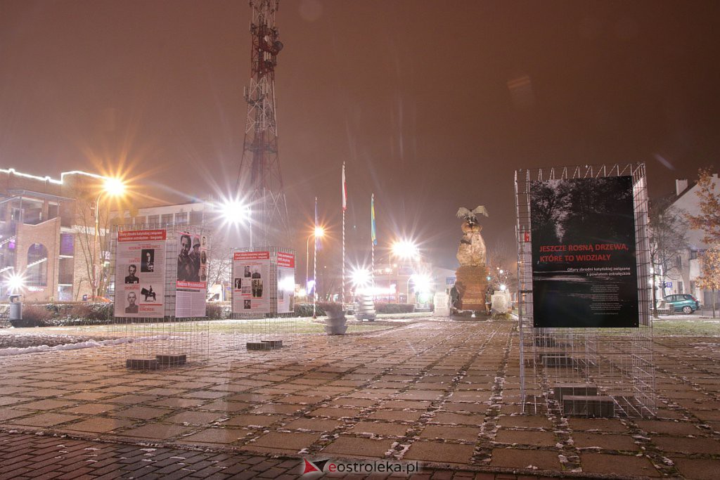 Wystawa „Jeszcze rosną drzewa, które to widziały” dostępna w Ostrołęce [13.12.2020] - zdjęcie #19 - eOstroleka.pl
