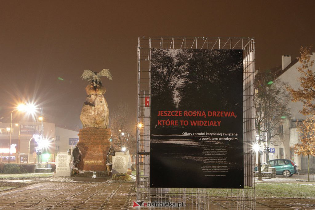 Wystawa „Jeszcze rosną drzewa, które to widziały” dostępna w Ostrołęce [13.12.2020] - zdjęcie #2 - eOstroleka.pl