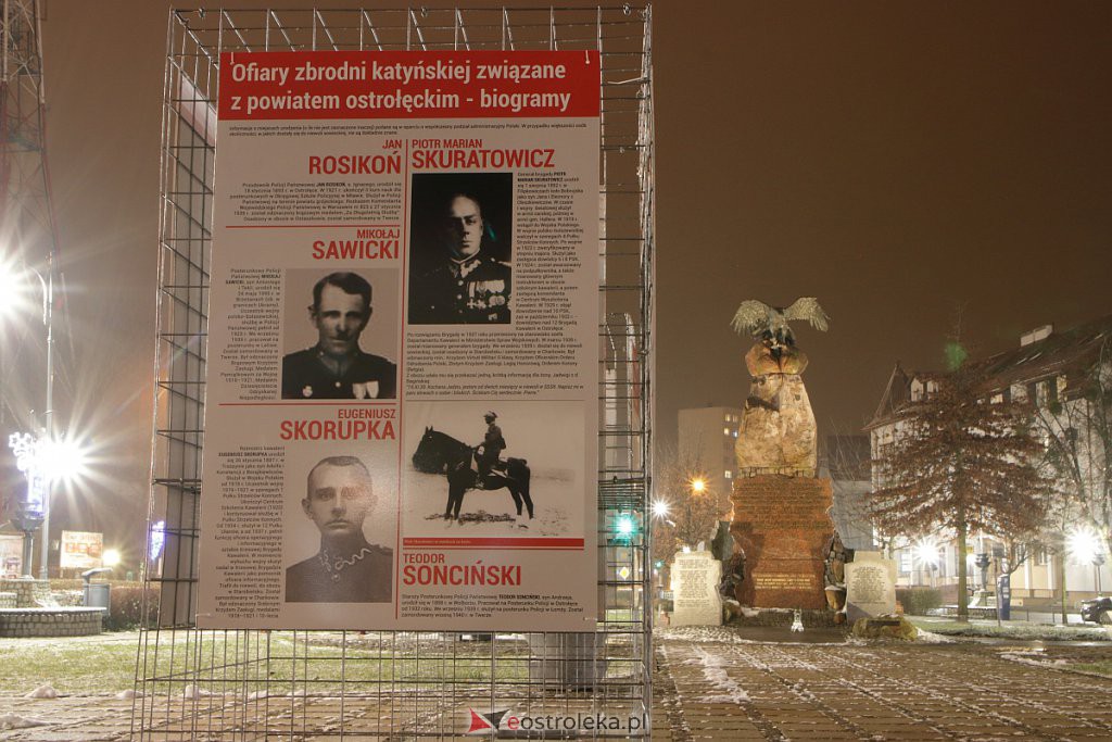 Wystawa „Jeszcze rosną drzewa, które to widziały” dostępna w Ostrołęce [13.12.2020] - zdjęcie #17 - eOstroleka.pl