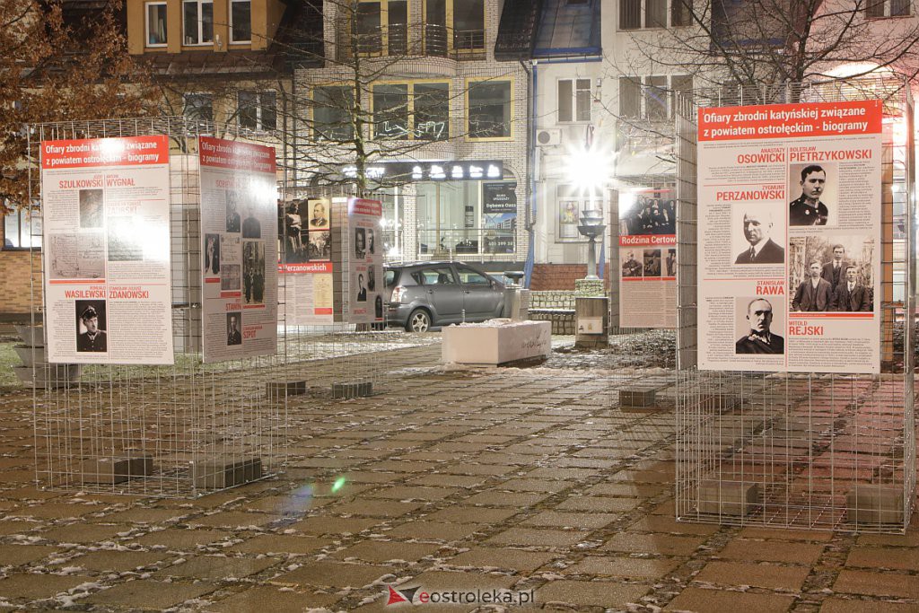 Wystawa „Jeszcze rosną drzewa, które to widziały” dostępna w Ostrołęce [13.12.2020] - zdjęcie #9 - eOstroleka.pl