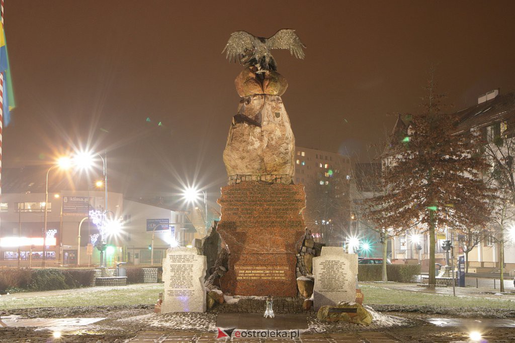 Wystawa „Jeszcze rosną drzewa, które to widziały” dostępna w Ostrołęce [13.12.2020] - zdjęcie #4 - eOstroleka.pl