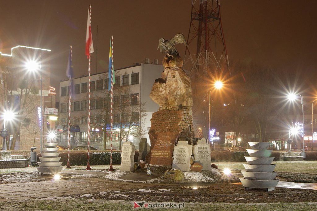Wystawa „Jeszcze rosną drzewa, które to widziały” dostępna w Ostrołęce [13.12.2020] - zdjęcie #3 - eOstroleka.pl