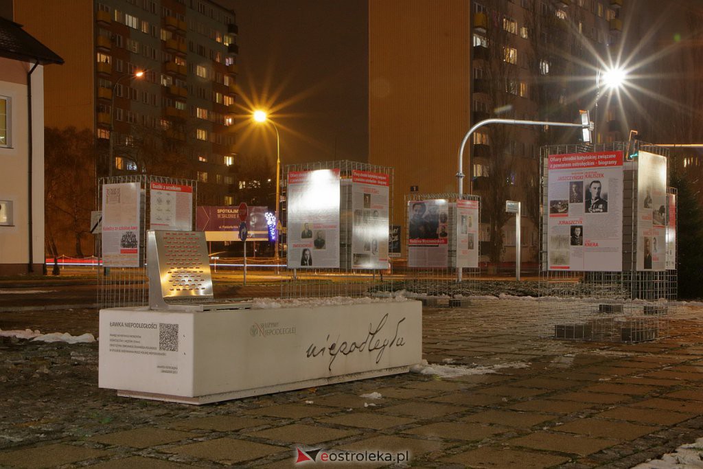 Wystawa „Jeszcze rosną drzewa, które to widziały” dostępna w Ostrołęce [13.12.2020] - zdjęcie #2 - eOstroleka.pl