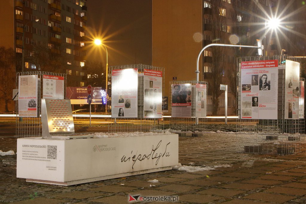 Wystawa „Jeszcze rosną drzewa, które to widziały” dostępna w Ostrołęce [13.12.2020] - zdjęcie #1 - eOstroleka.pl