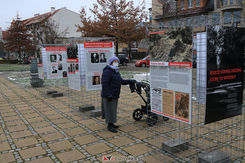 Wystawa „Jeszcze rosną drzewa, które to widziały” dostępna w Ostrołęce [14.12.2020] - zdjęcie #2 - eOstroleka.pl