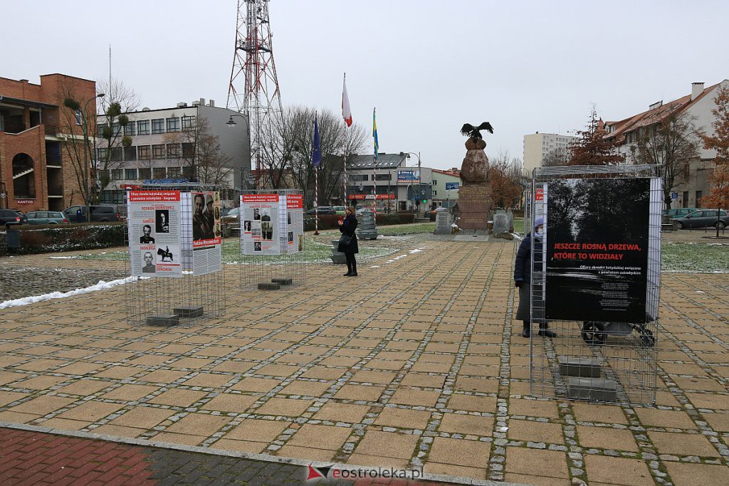 Wystawa „Jeszcze rosną drzewa, które to widziały” dostępna w Ostrołęce [14.12.2020] - zdjęcie #3 - eOstroleka.pl