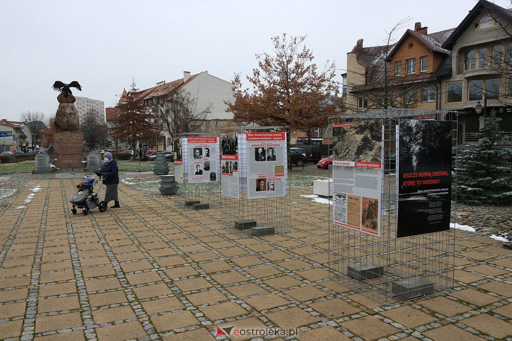 Wystawa „Jeszcze rosną drzewa, które to widziały” dostępna w Ostrołęce [14.12.2020] - zdjęcie #5 - eOstroleka.pl