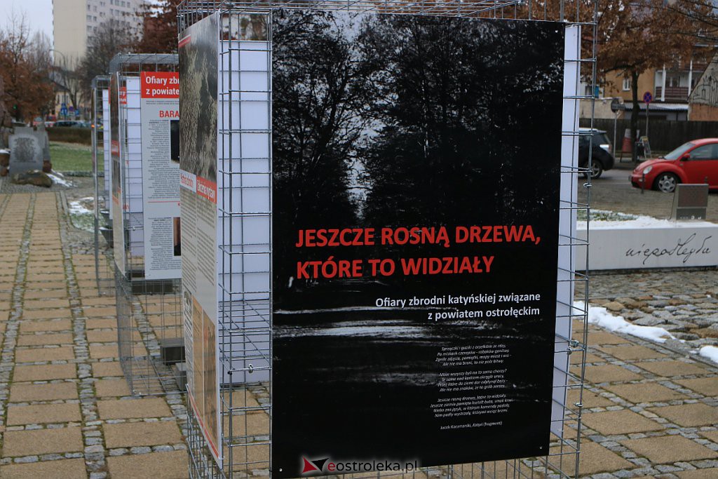 Wystawa „Jeszcze rosną drzewa, które to widziały” dostępna w Ostrołęce [14.12.2020] - zdjęcie #6 - eOstroleka.pl