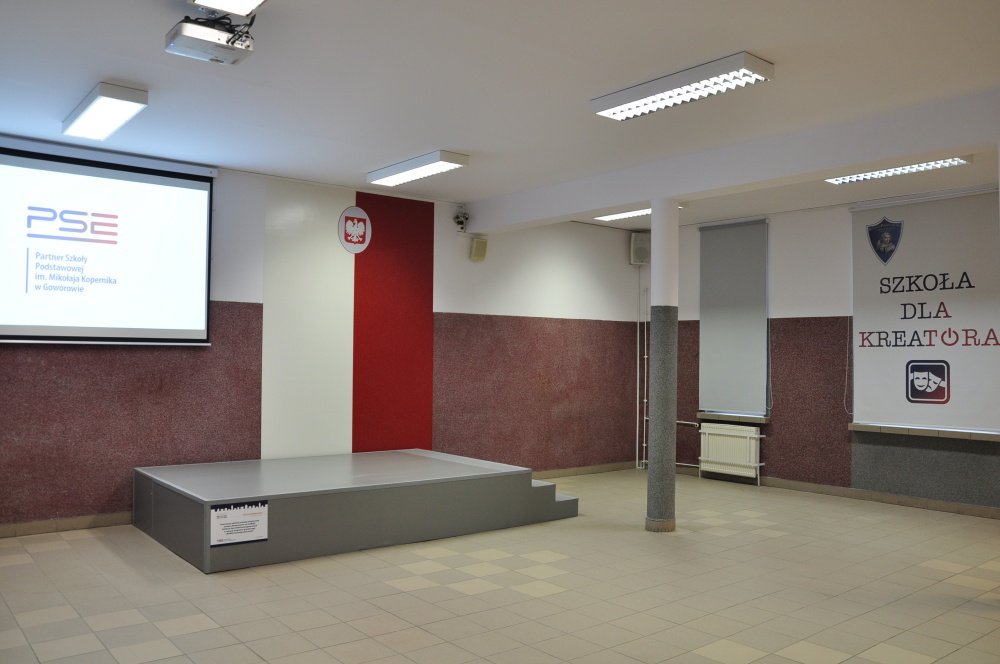 Szkoła dla kreatora – przestrzeń artystyczna dla uczniów Szkoły Podstawowe w Goworowie - zdjęcie #11 - eOstroleka.pl