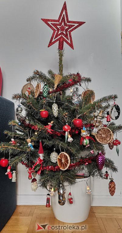 Konkurs na najpiękniejszą choinkę  - zdjęcie #56 - eOstroleka.pl
