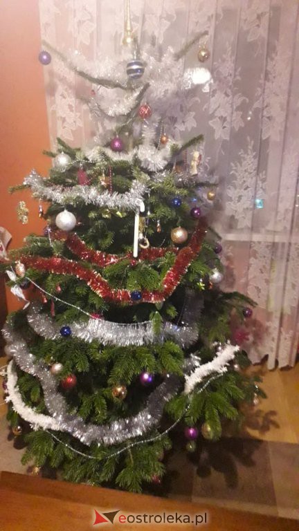 Konkurs na najpiękniejszą choinkę  - zdjęcie #26 - eOstroleka.pl