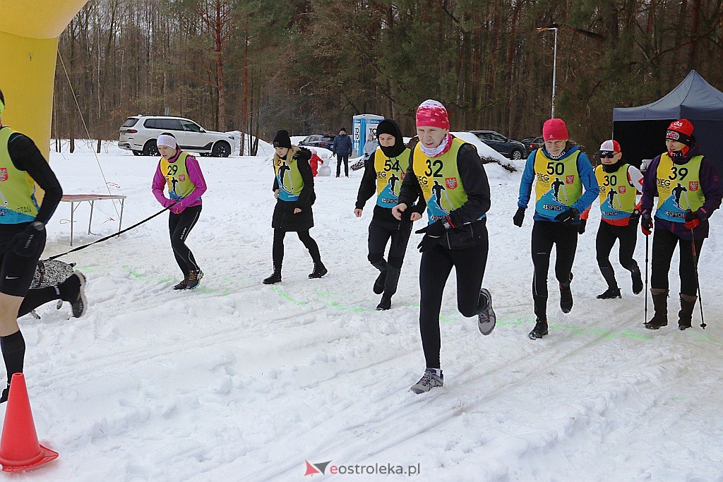 Charytatywny bieg narciarski w Przystani [20.02.2021] - zdjęcie #56 - eOstroleka.pl