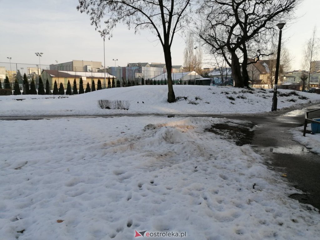 Roztopy w Ostrołęce. Śnieg znika w błyskawicznym tempie [21.02.2021] - zdjęcie #8 - eOstroleka.pl