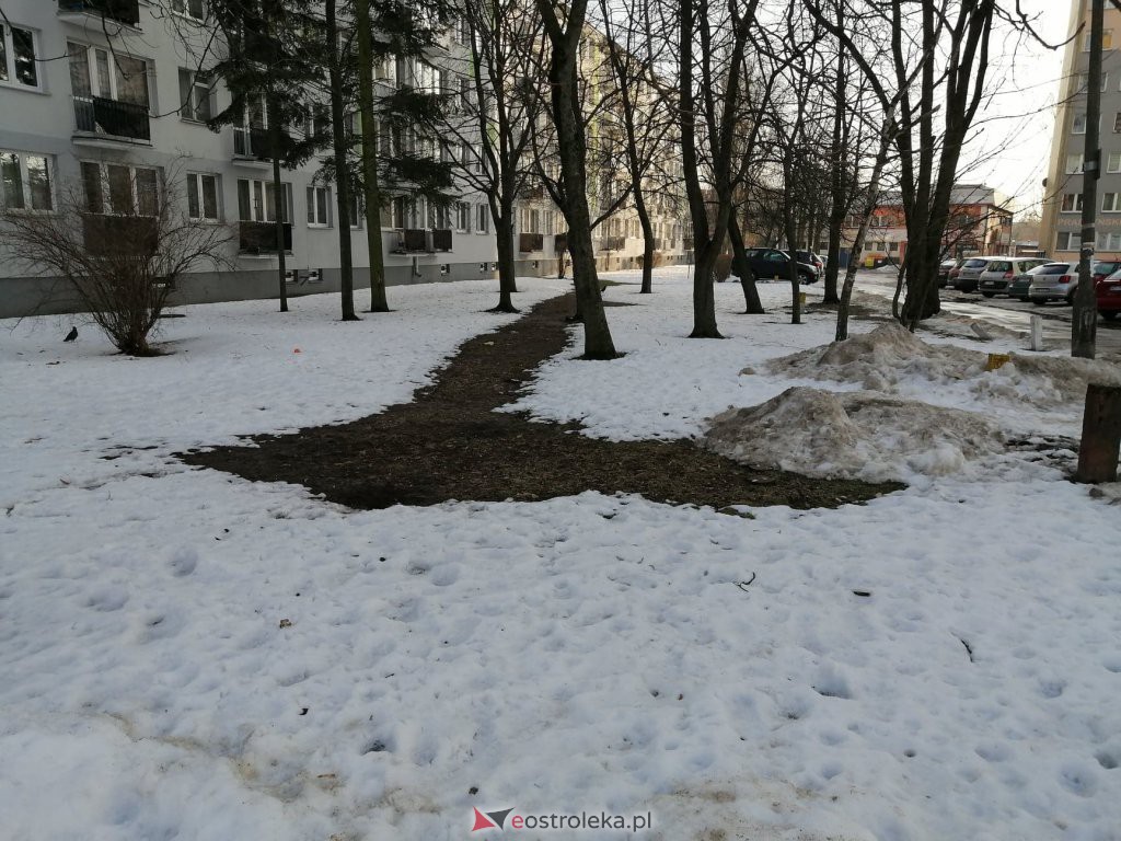 Roztopy w Ostrołęce. Śnieg znika w błyskawicznym tempie [21.02.2021] - zdjęcie #10 - eOstroleka.pl