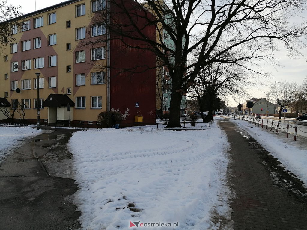 Roztopy w Ostrołęce. Śnieg znika w błyskawicznym tempie [21.02.2021] - zdjęcie #14 - eOstroleka.pl