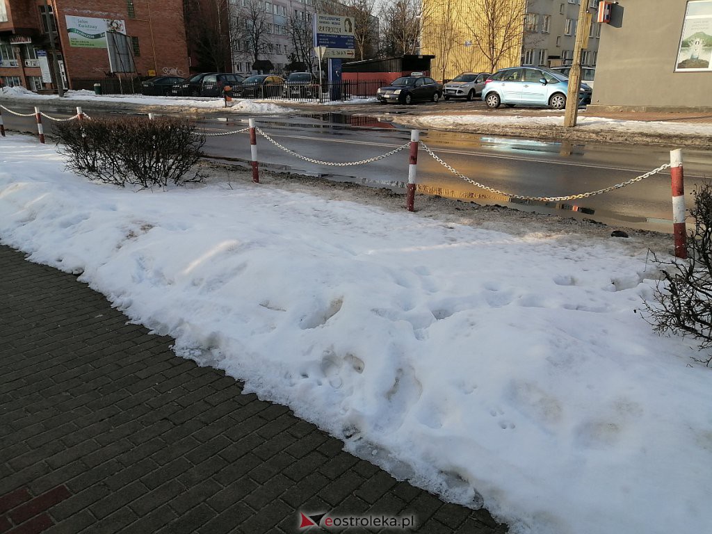 Roztopy w Ostrołęce. Śnieg znika w błyskawicznym tempie [21.02.2021] - zdjęcie #17 - eOstroleka.pl