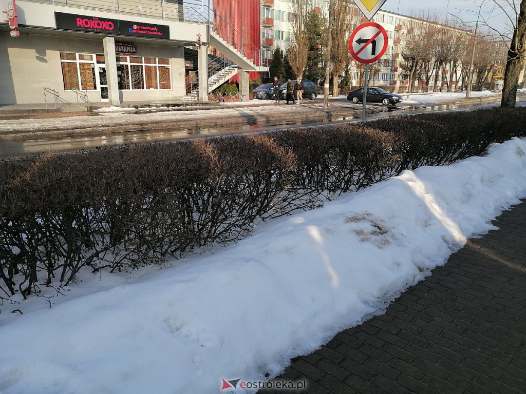 Roztopy w Ostrołęce. Śnieg znika w błyskawicznym tempie [21.02.2021] - zdjęcie #19 - eOstroleka.pl