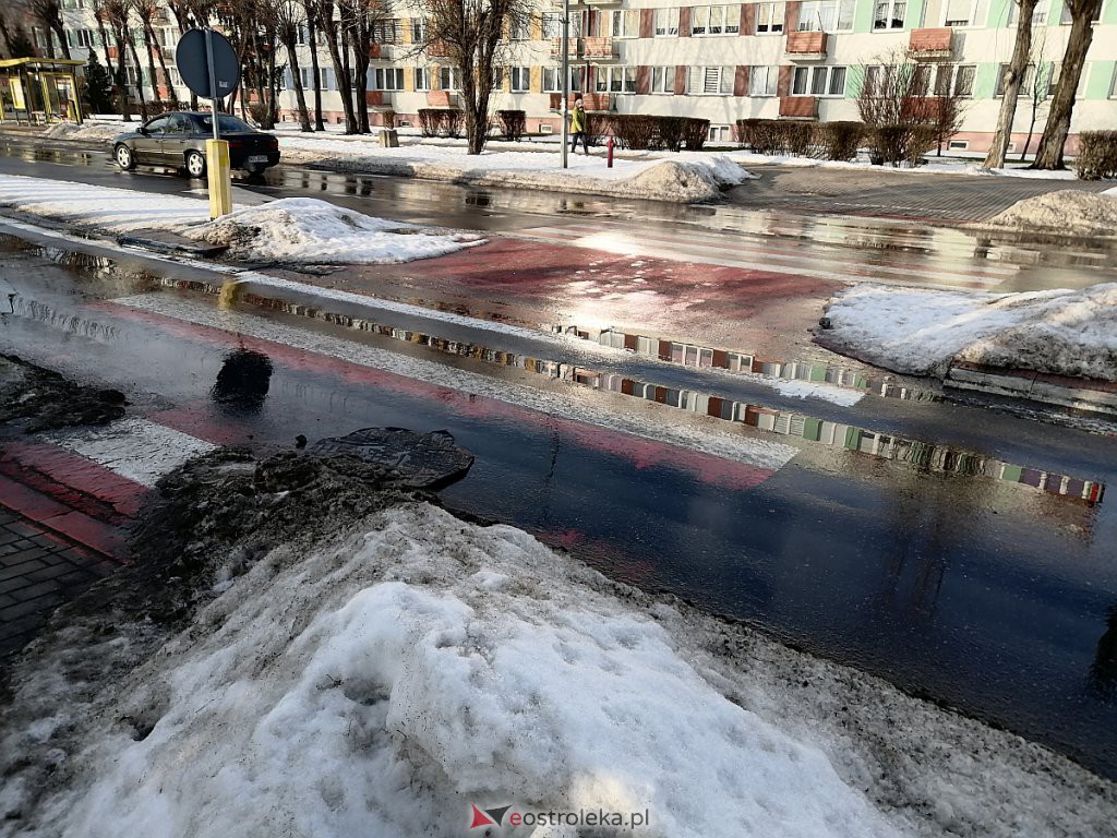 Roztopy w Ostrołęce. Śnieg znika w błyskawicznym tempie [21.02.2021] - zdjęcie #24 - eOstroleka.pl