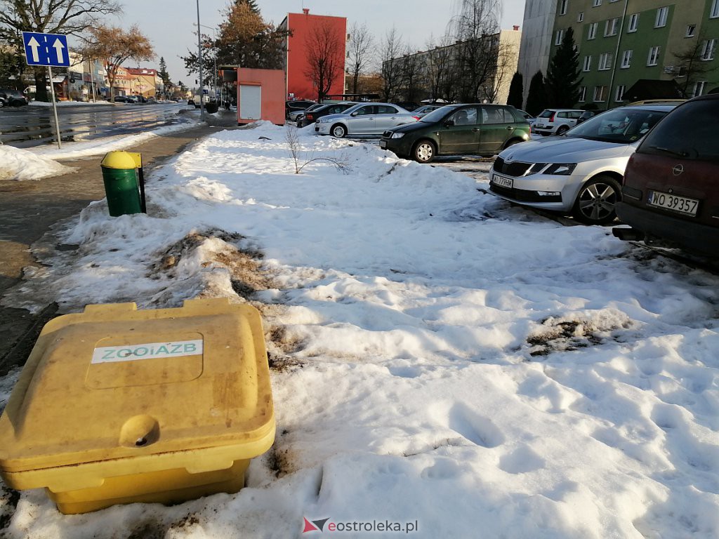 Roztopy w Ostrołęce. Śnieg znika w błyskawicznym tempie [21.02.2021] - zdjęcie #26 - eOstroleka.pl