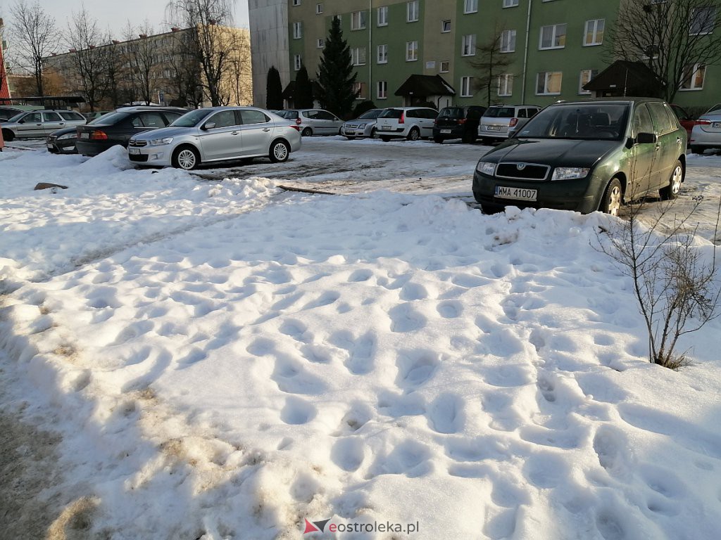 Roztopy w Ostrołęce. Śnieg znika w błyskawicznym tempie [21.02.2021] - zdjęcie #28 - eOstroleka.pl