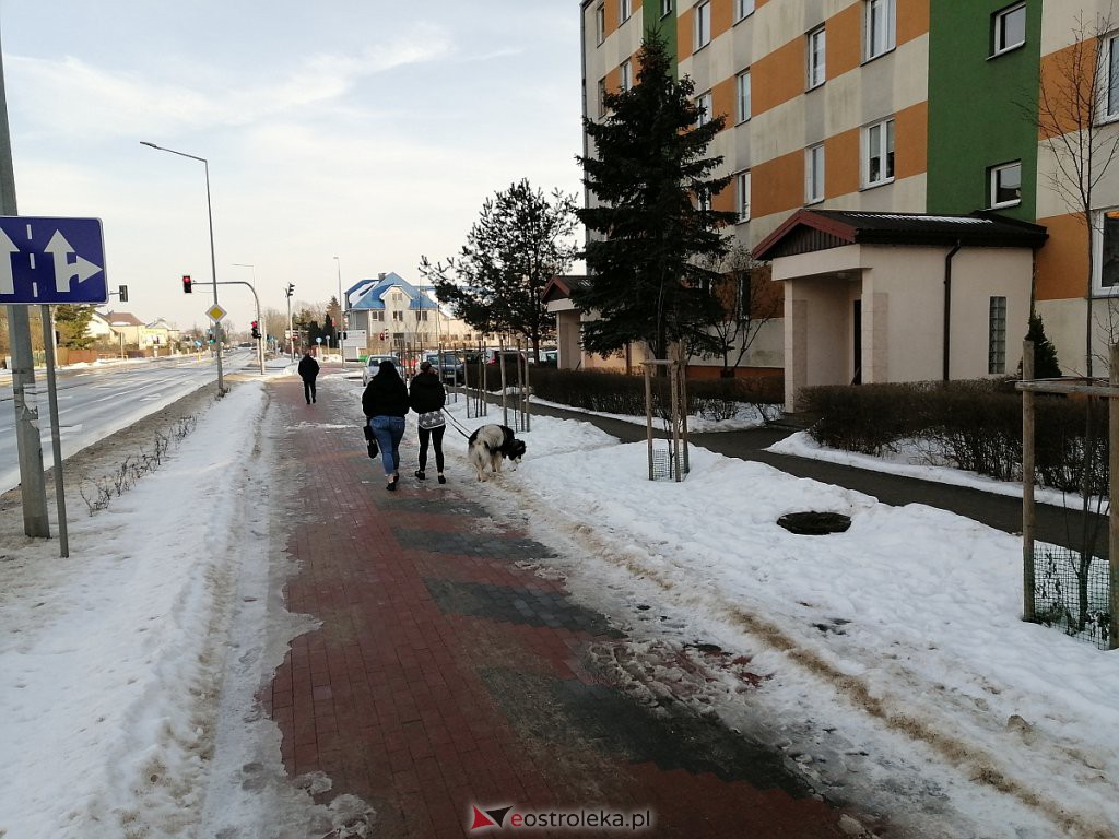 Roztopy w Ostrołęce. Śnieg znika w błyskawicznym tempie [21.02.2021] - zdjęcie #37 - eOstroleka.pl