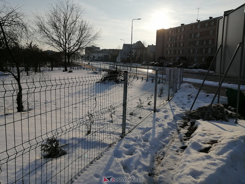 Roztopy w Ostrołęce. Śnieg znika w błyskawicznym tempie [21.02.2021] - zdjęcie #47 - eOstroleka.pl