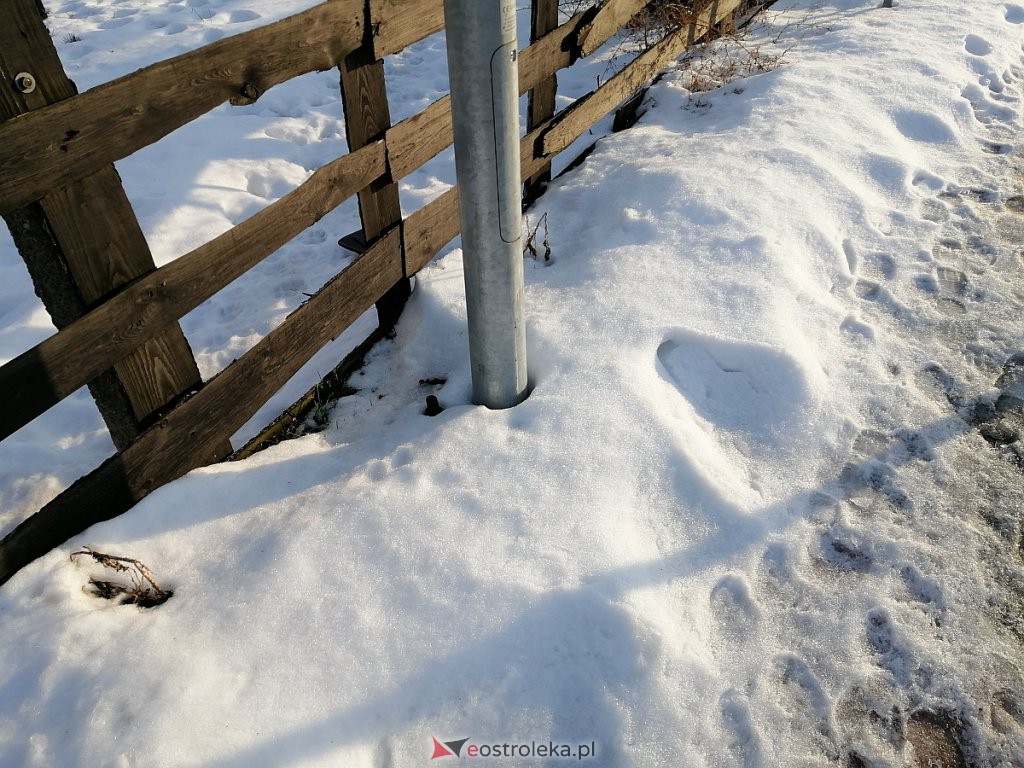 Roztopy w Ostrołęce. Śnieg znika w błyskawicznym tempie [21.02.2021] - zdjęcie #54 - eOstroleka.pl