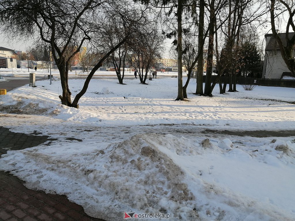 Roztopy w Ostrołęce. Śnieg znika w błyskawicznym tempie [21.02.2021] - zdjęcie #60 - eOstroleka.pl