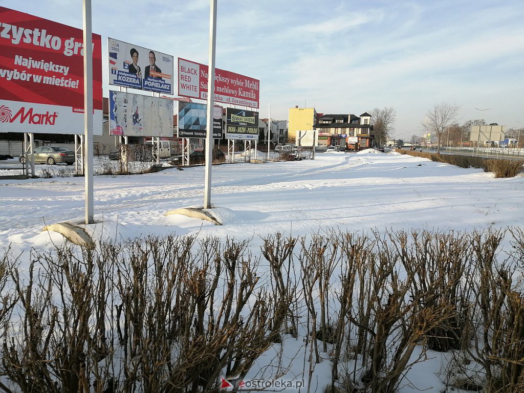 Roztopy w Ostrołęce. Śnieg znika w błyskawicznym tempie [21.02.2021] - zdjęcie #64 - eOstroleka.pl