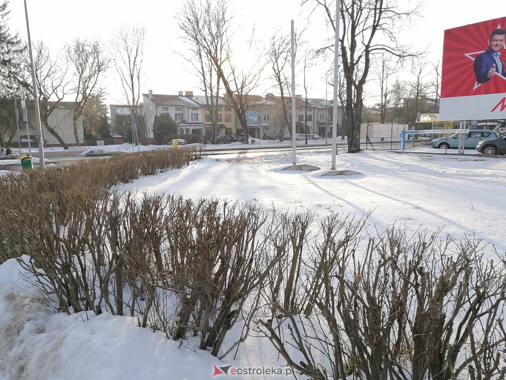 Roztopy w Ostrołęce. Śnieg znika w błyskawicznym tempie [21.02.2021] - zdjęcie #67 - eOstroleka.pl