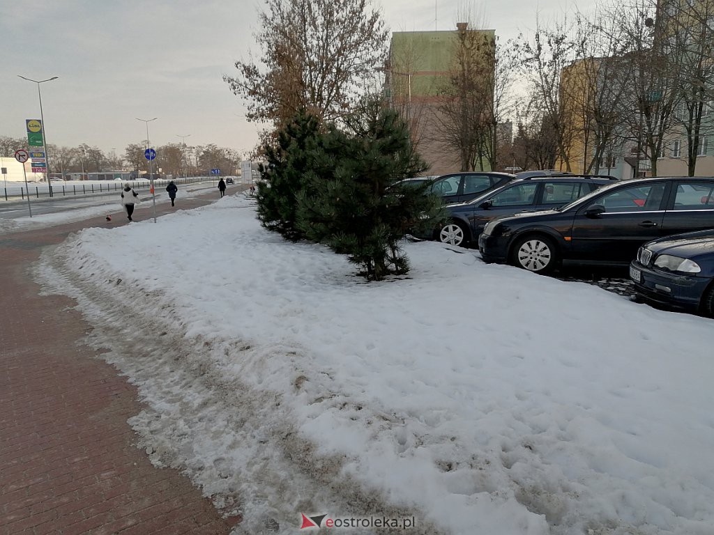 Roztopy w Ostrołęce. Śnieg znika w błyskawicznym tempie [21.02.2021] - zdjęcie #72 - eOstroleka.pl