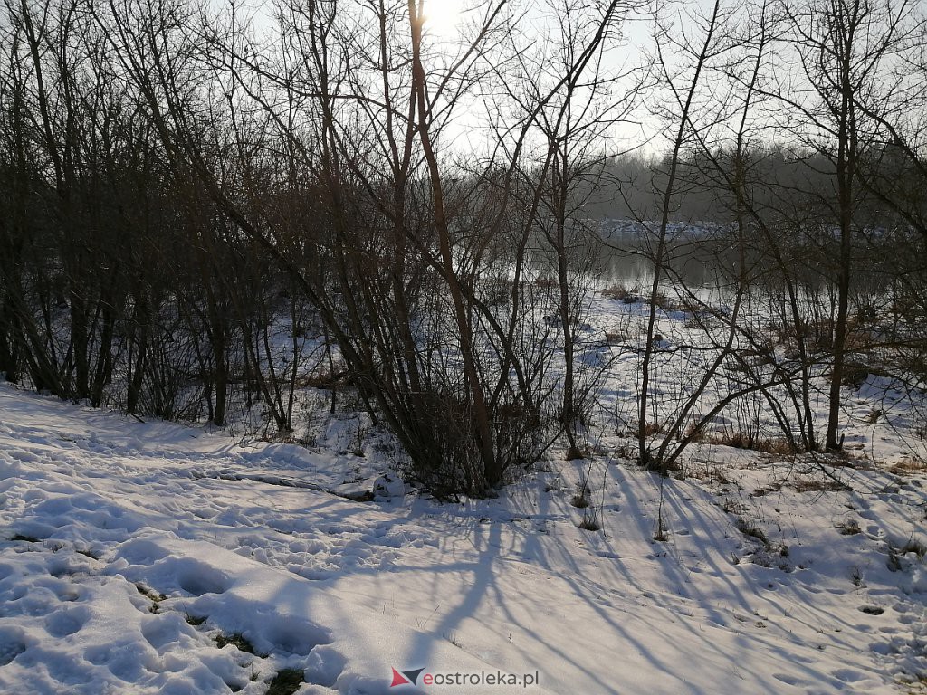 Poziom wody na Narwi w Ostrołęce. Jaki jest dziś, podczas gwałtownych roztopów? [22.02.2021] - zdjęcie #1 - eOstroleka.pl