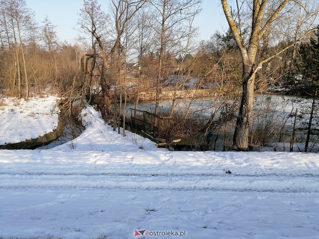 Poziom wody na Narwi w Ostrołęce. Jaki jest dziś, podczas gwałtownych roztopów? [22.02.2021] - zdjęcie #5 - eOstroleka.pl