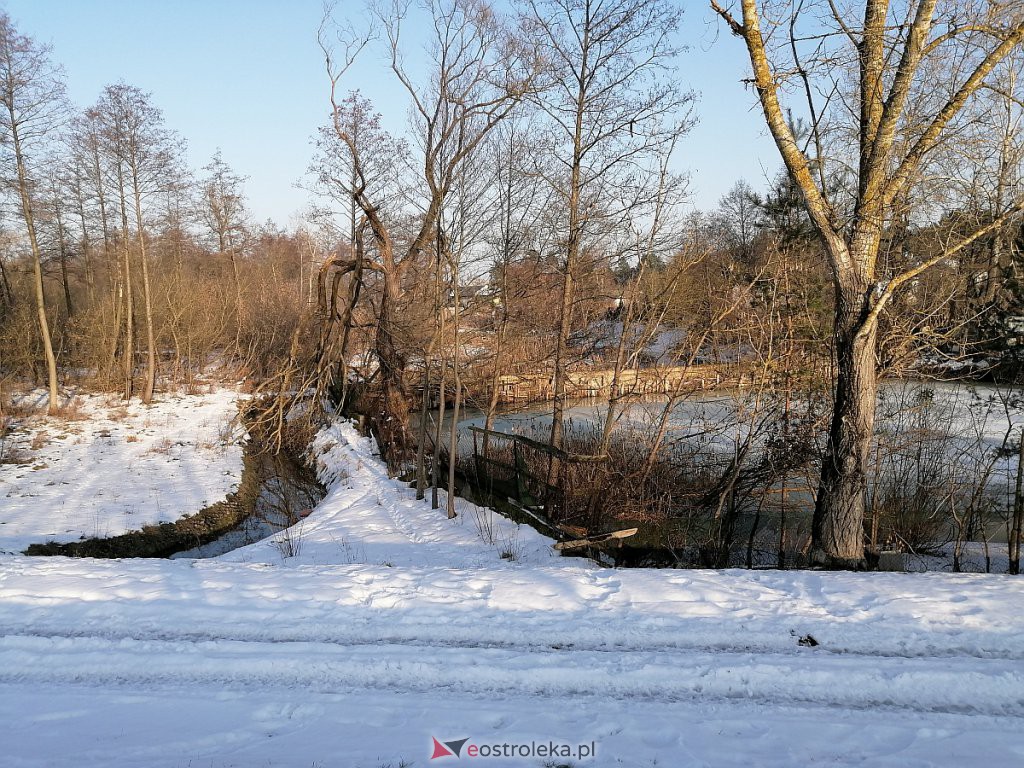 Poziom wody na Narwi w Ostrołęce. Jaki jest dziś, podczas gwałtownych roztopów? [22.02.2021] - zdjęcie #7 - eOstroleka.pl