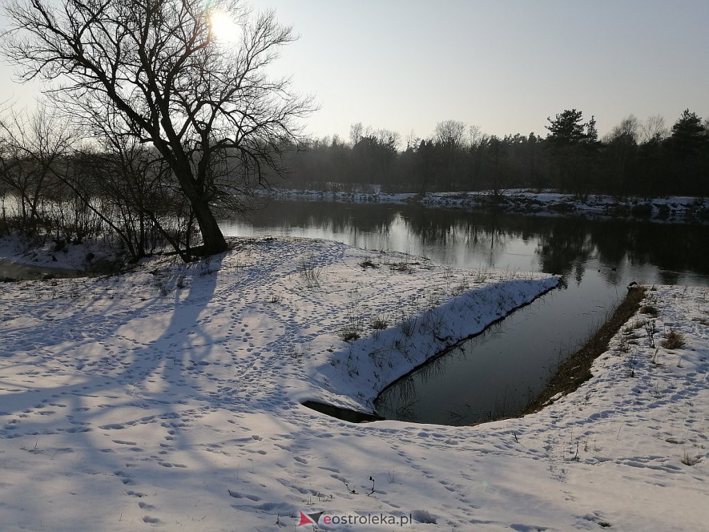 Poziom wody na Narwi w Ostrołęce. Jaki jest dziś, podczas gwałtownych roztopów? [22.02.2021] - zdjęcie #11 - eOstroleka.pl