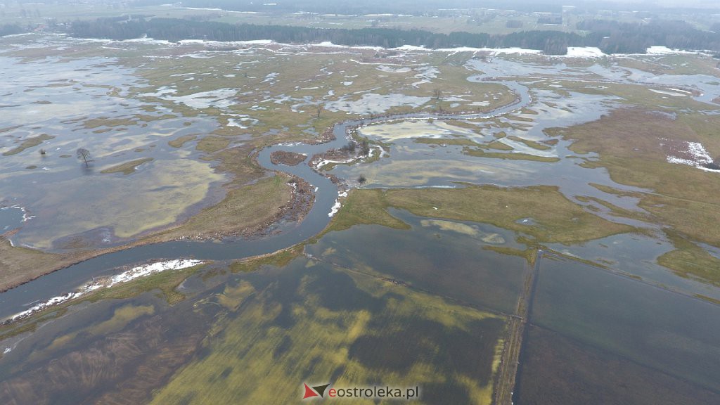 Rozlewiska rzeki Omulew w miejscowości Gleb [01.03.2021] - zdjęcie #37 - eOstroleka.pl